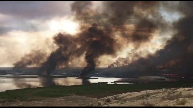 Пожар на территории озера Судочье в Каракалпакстане