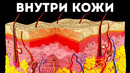 Путешествие сквозь кожу