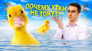 ПОЧЕМУ УТКИ НЕ ТОНУТ?! Поверхностное натяжение. Физическая химия