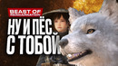 Обзор Beast of Reincarnation