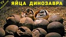 Самые необычные вещи обнаруженные при строительстве