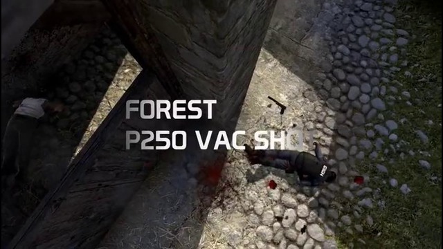CSGO f0rest p250 VAC Shot @ FACEIT League 2015 Stage 3 Finals at DH Winter 2015