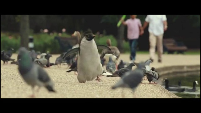 История о маленьком пингвине и его друге – John Lewis