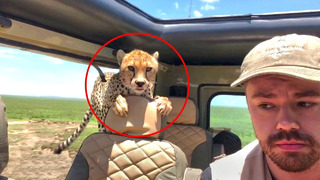 30 Interesting Things Caught on Camera & Luckiest People