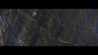 Omnium Gatherum – Fortitude (Official Video 2021)