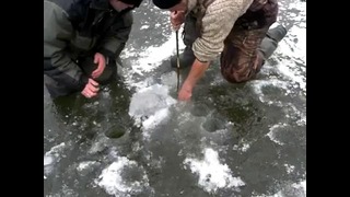 Опытные рыбаки