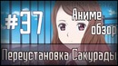 Аниме обзор #37 – Переустановка Сакурады