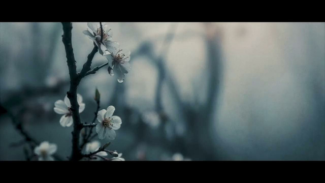 Annisokay – Inner Sanctum (Official Music Video 2025)