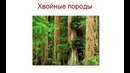 Баня своими руками. Глава 4. Материалы