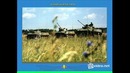 Одуванчики ВДВ
