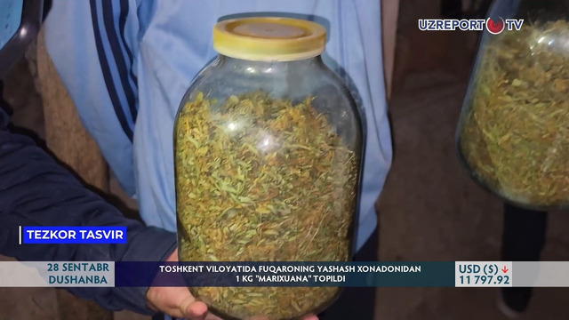 Toshkent viloyatida fuqaroning yashash xonadonidan 1 kg «marixuana» topildi