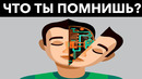 Как быстро Улучшить Память? 7 лайфхаков для запоминания