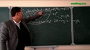 Barglarda organik moddalarning hosil bo`lishi. Fotosintez