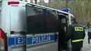 Герои среди животных – это надо видеть