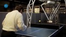 3DNews Daily 919: наглядно про машинное обучение, робот-тренер Forpheus, несостоявшаяся Lumia 435