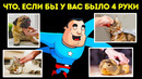 Что, если бы у нас было четыре руки вместо двух