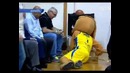 Кот играет баскетбол
