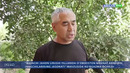Андижон вилоятида