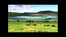 Реклама канала Discovery