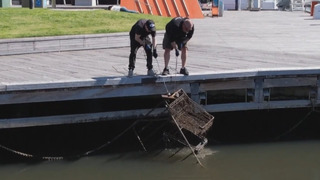 Австралиец нашёл способ очистить реку в Мельбурне