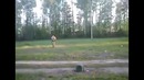 Очень мощная петарда