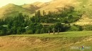 Clip «ZAMIRAXON» Rej: Elmurod Editor: Takhir Nabiyev Color: Farkhod Takhirov