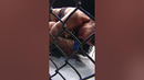 When Raquel Pennington SUBMITTED Jessica Andrade