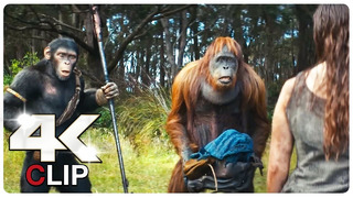 This Girl Can Speak Scene | KINGDOM OF THE PLANET OF THE APES (2024) Movie CLIP 4K