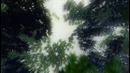 AMV – Don’t Let Me Down [MEP