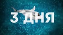 Почему в аквариумах нет большой белой акулы