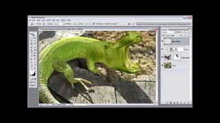 PhotoshopLes – Morphing Creatures. Part 02 (eng)