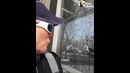 Кот приветствует почтальоншу