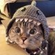 MyTorrents