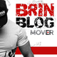 Brin Blog