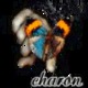 charon_87