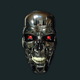 the_asH