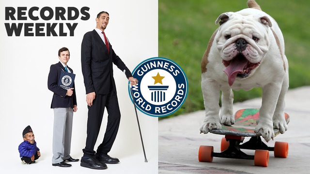 Tallest Meets Shortest and Skateboarding Bulldogs | Records Weekly – Guinness World Records