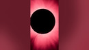 A total solar eclipse with solar flares ️ #Eclipse #Shorts #Sun