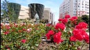 Белгород – город для жизни и прогулок (Belgorod city in Russia)