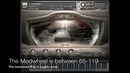 Love Violin Overview