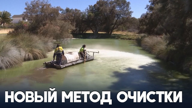 Как победить цветение воды, придумали австралийские учёные