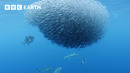 Exploring the North Atlantic | 4K UHD | North Atlantic: The Dark Ocean | BBC Earth