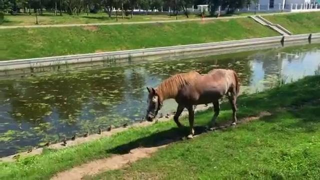 Города россии- орел