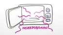 Научпок – опасны ли микроволновые печи
