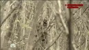 Новые русские сенсации – Ликвидация шайтана