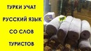 Ляпы переводчиков, увидев которых вы полезете в словарь