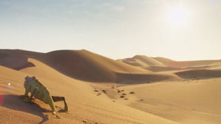 Decompress In The Dunes – Change | Mindful Escapes | BBC Earth
