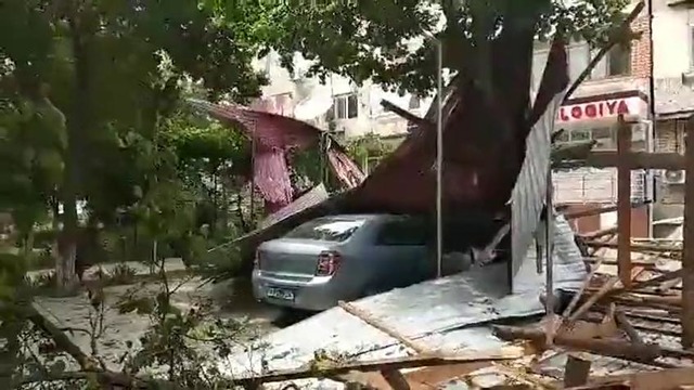 Сильный ветер в Ташкенте