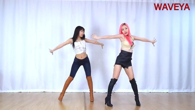 WAVEYA-4 Walls (F(x) )