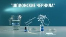 Шпионские чернила – опыт с лимонной кислотой и йодом